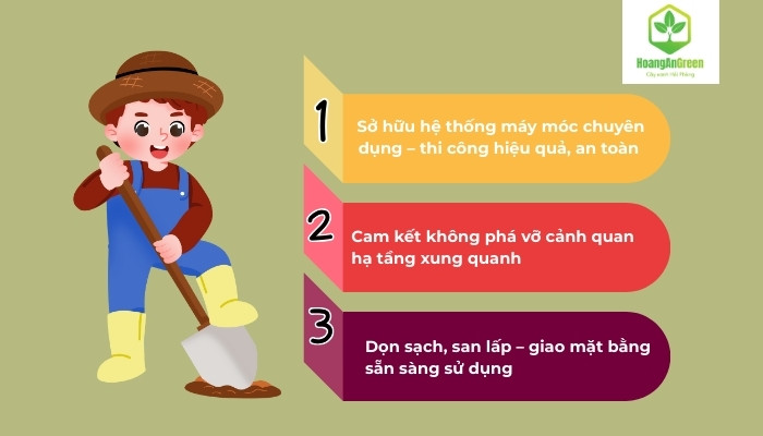 Dich-vu-dao-goc-cay-chuyen-nghiep-tai-Hai-Phong-co-gi-khac-biet