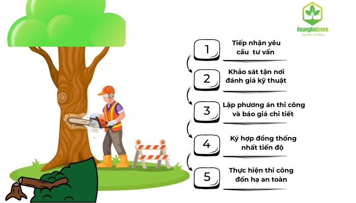 Quy-trinh-chat-cua-don-ha-cay-xanh-tung-buoc-chi-tiet.