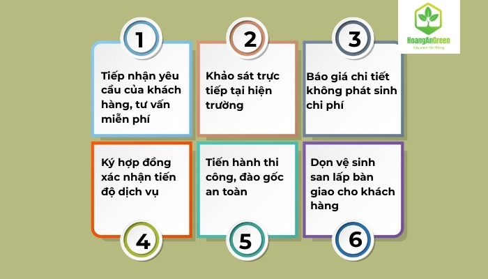 Quy-trinh-dich-vu-dao-goc-cay-chuyen-nghiep