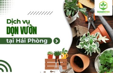 Dich-vu-don-vuon-tai-Hai-Phong-uy-tin-chuyen-nghiep